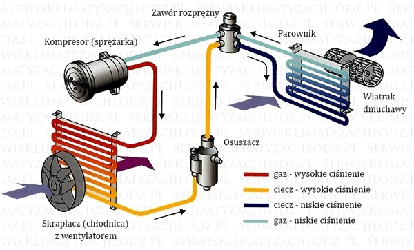 Serwis Klimatyzacji Samochodowej Łódź - Danpol Łódź